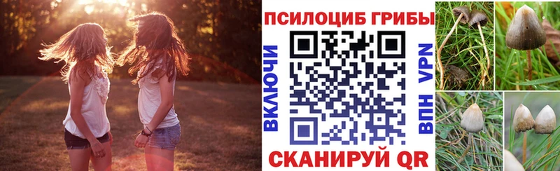 закладки гидра ONION Галлюциногенные грибы прущие грибы Люберцы