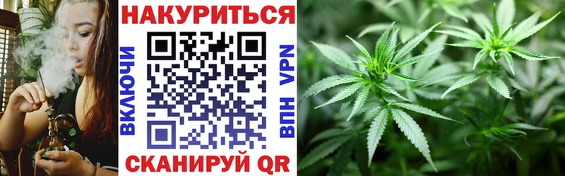 где можно купить   Люберцы  Канабис Amnesia 